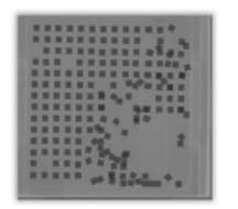 华夫盒运输撒料