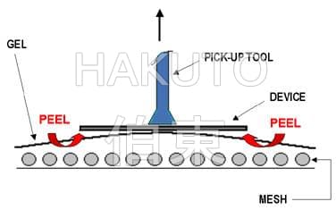 Gel-Pak 纳米器件托盘 NDT