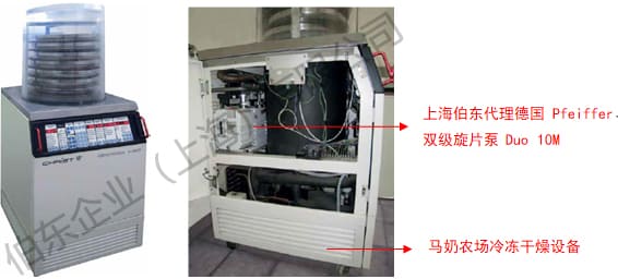 双级旋片泵应用于奶制品冷冻干燥