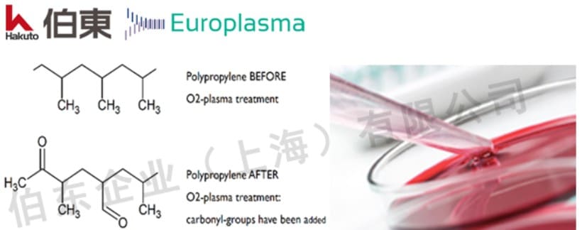 PS 材质的细胞培养耗材 TC 处理