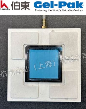 Gel-Pak 超净真空释放盒