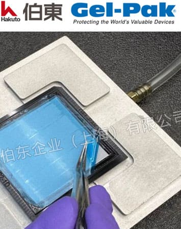 Gel-Pak 超净真空释放盒