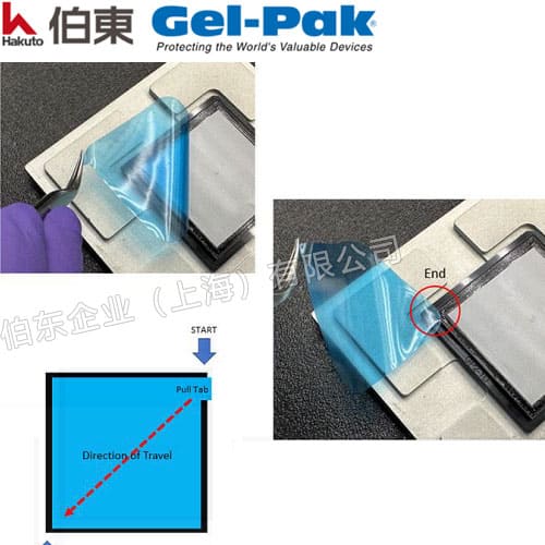 Gel-Pak 超净真空释放盒